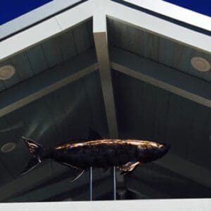 A fish sculpture is on top of the roof.
