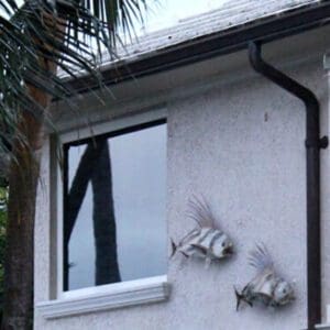 A house with two fish on the wall