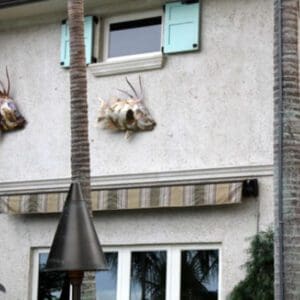 A building with two large antelopes mounted on the wall.