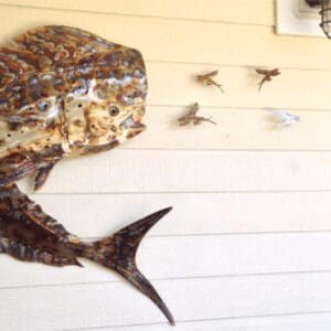 A fish sculpture on the wall of a house.