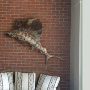 A fish mounted on the wall of a brick building.