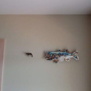 A cat is flying through the air on a wall.